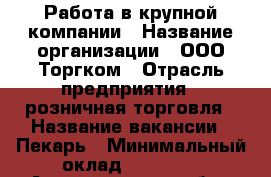 Работа в крупной компании › Название организации ­ ООО Торгком › Отрасль предприятия ­ розничная торговля › Название вакансии ­ Пекарь › Минимальный оклад ­ 23 180 - Архангельская обл., Архангельск г. Работа » Вакансии   